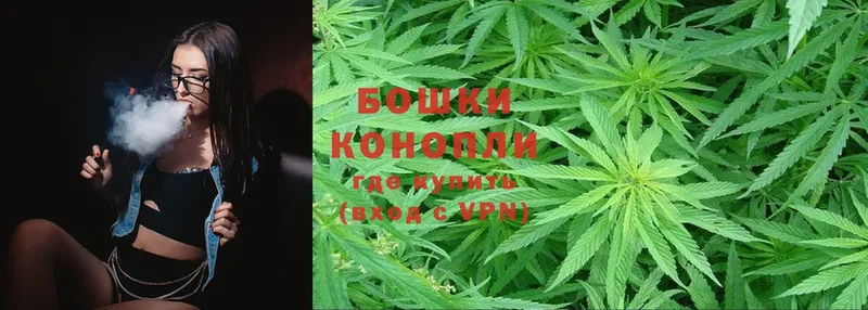 shop клад  цены   Новоуральск  Бошки марихуана THC 21% 